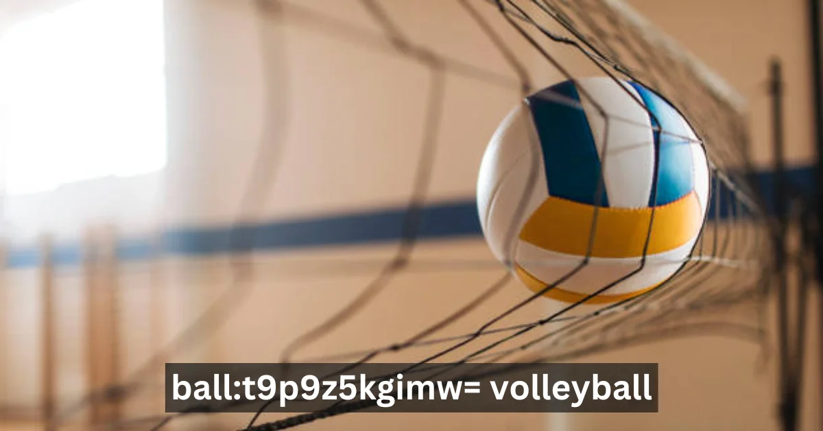 ball:t9p9z5kgimw= volleyball